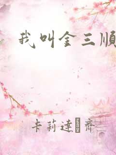 我叫金三顺下载