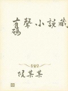 有声小说藏地密码