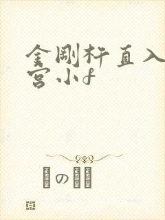 金刚杵直入莲花宫小f