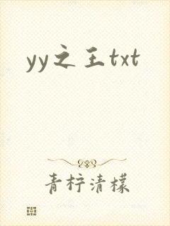 yy之王txt