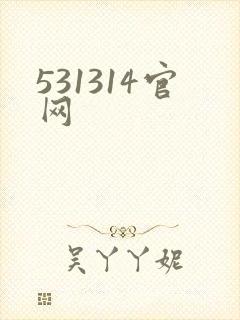 531314官网