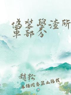 伪装学渣所有开车部分