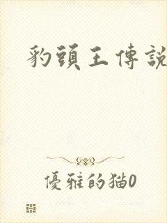 豹头王传说小说