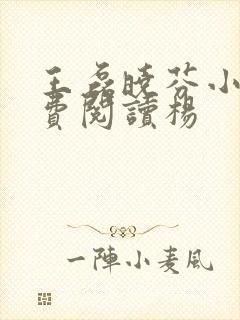 王磊晓芬小说免费阅读杨