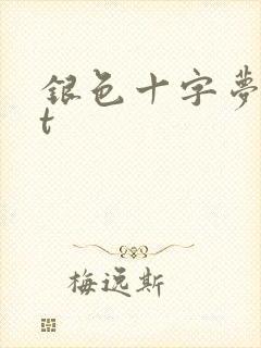 银色十字梦txt