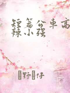 短篇公车高h肉辣小强