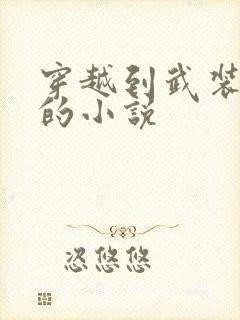 穿越到武装少女的小说