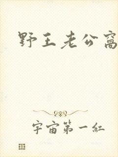 野王老公窝