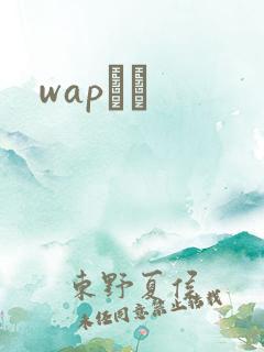 wapС˵