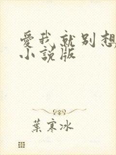 爱我就别想太多小说版