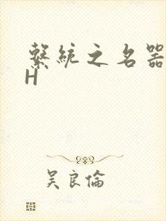 系统之名器勾男H