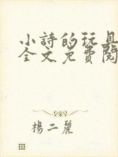 小诗的玩具日记全文免费阅读