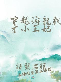 穿越游龙戏凤天才小王妃