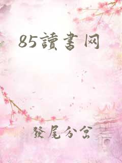 85读书网
