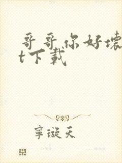 哥哥你好坏txt下载