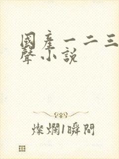 国产一二三区有声小说