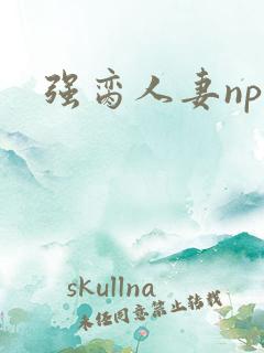 强脔人妻np文