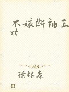 不嫁断袖王爷txt