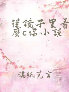 从镜子里看我怎么c你小说