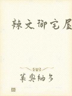 辣文御宅屋