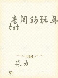 老周的玩具日记txt