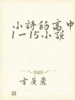 小诗的高中日记1一15小说