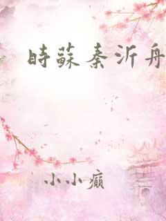 时苏秦沂舟小说