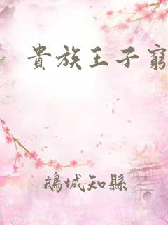 贵族王子穷公主