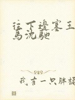 往下边塞玉器骑马沈驰