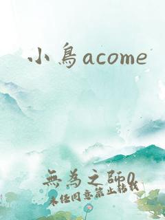 小鸟acome