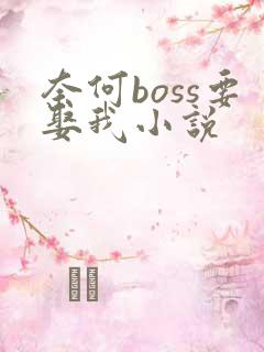 奈何boss要娶我小说