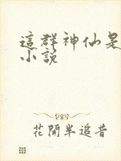 这群神仙是假的小说