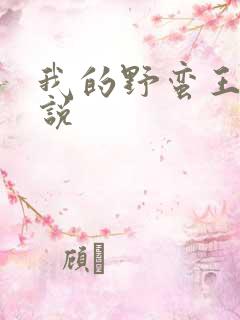 我的野蛮王妃小说