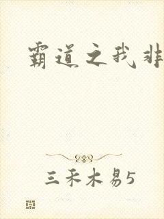 霸道之我非英雄