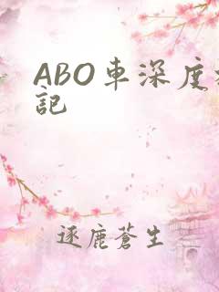 ABO车深度标记