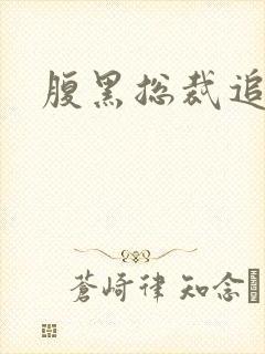 腹黑总裁追娇妻