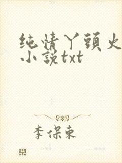 纯情丫头火辣辣小说txt