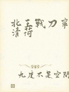 北王战刀宁北苏清荷