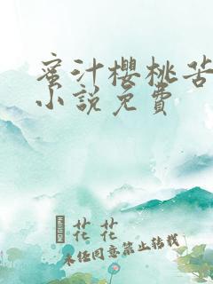 蜜汁樱桃苦咖啡小说免费