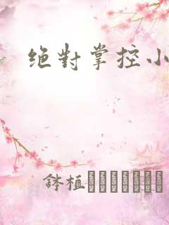 绝对掌控小说