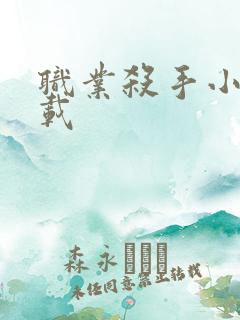 职业杀手小说下载