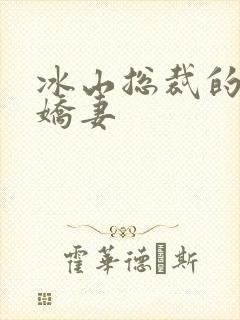 冰山总裁的掠爱娇妻