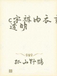 c字裤内衣秀全透明