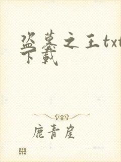 盗墓之王txt下载