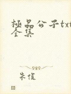 极品公子txt全集