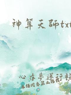 神算天师txt
