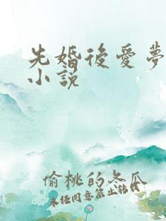 先婚后爱梦筱二小说