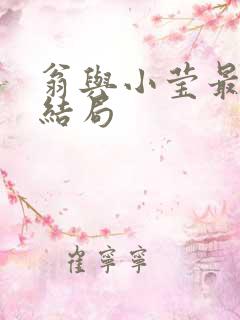 翁与小莹最新大结局