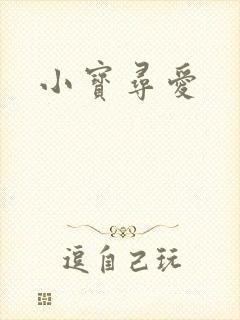 小宝寻爱