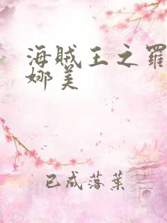 海贼王之罗宾h娜美